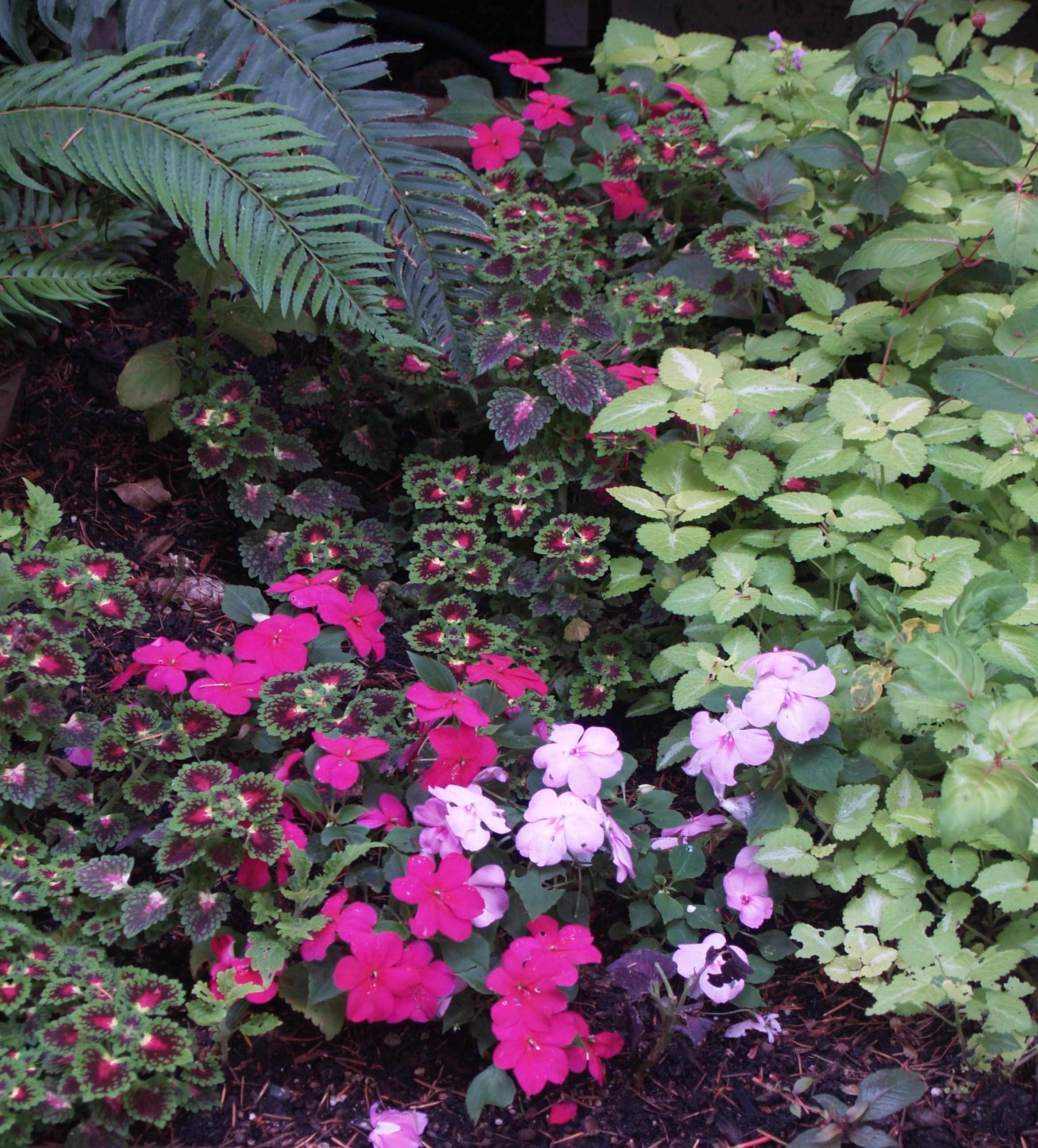 Garden Design & Coaching section preview image