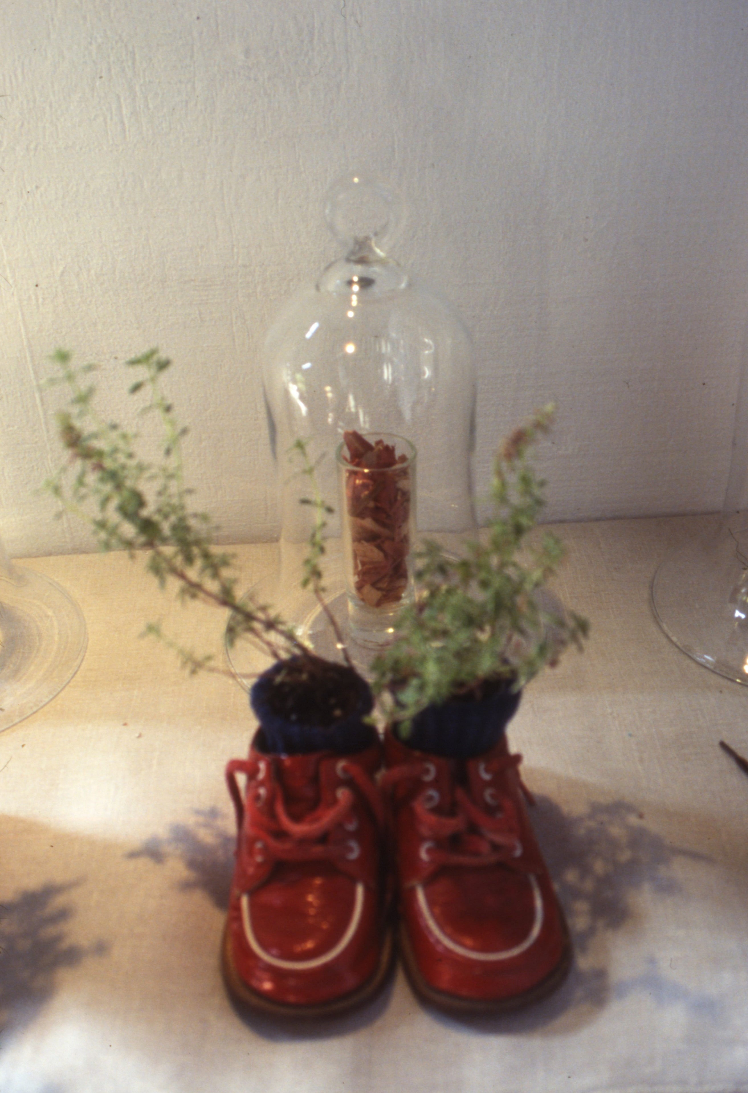 Containers & Terrariums gallery image