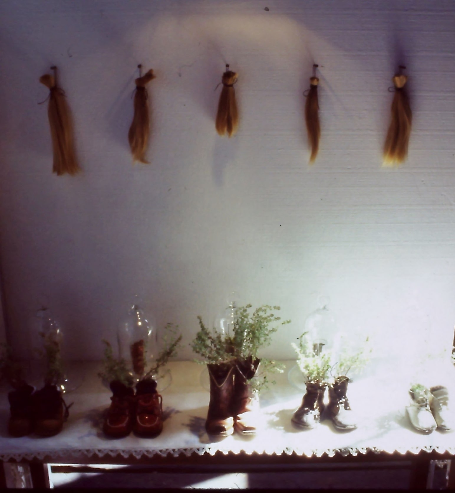 Containers & Terrariums gallery image