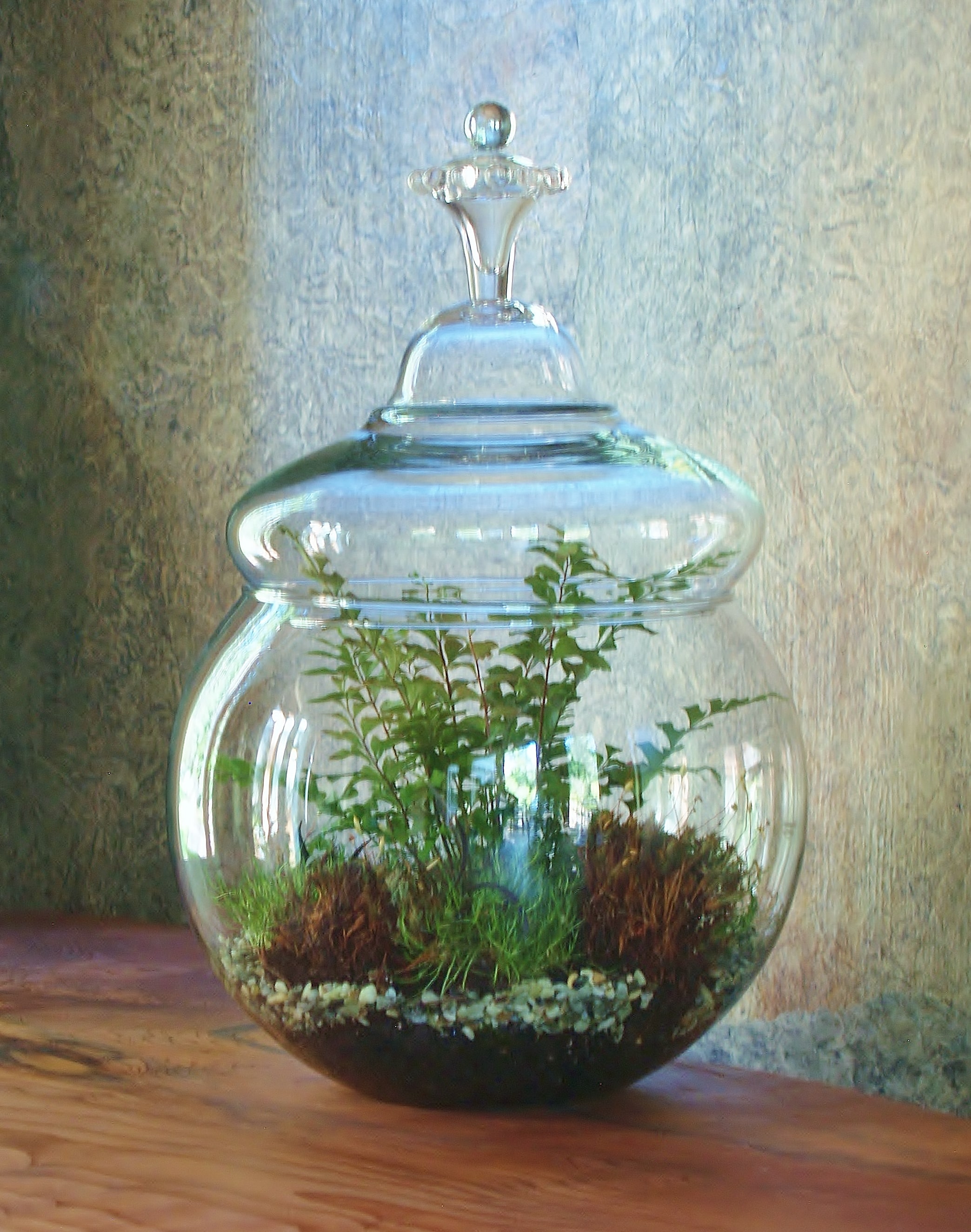 Containers & Terrariums gallery image