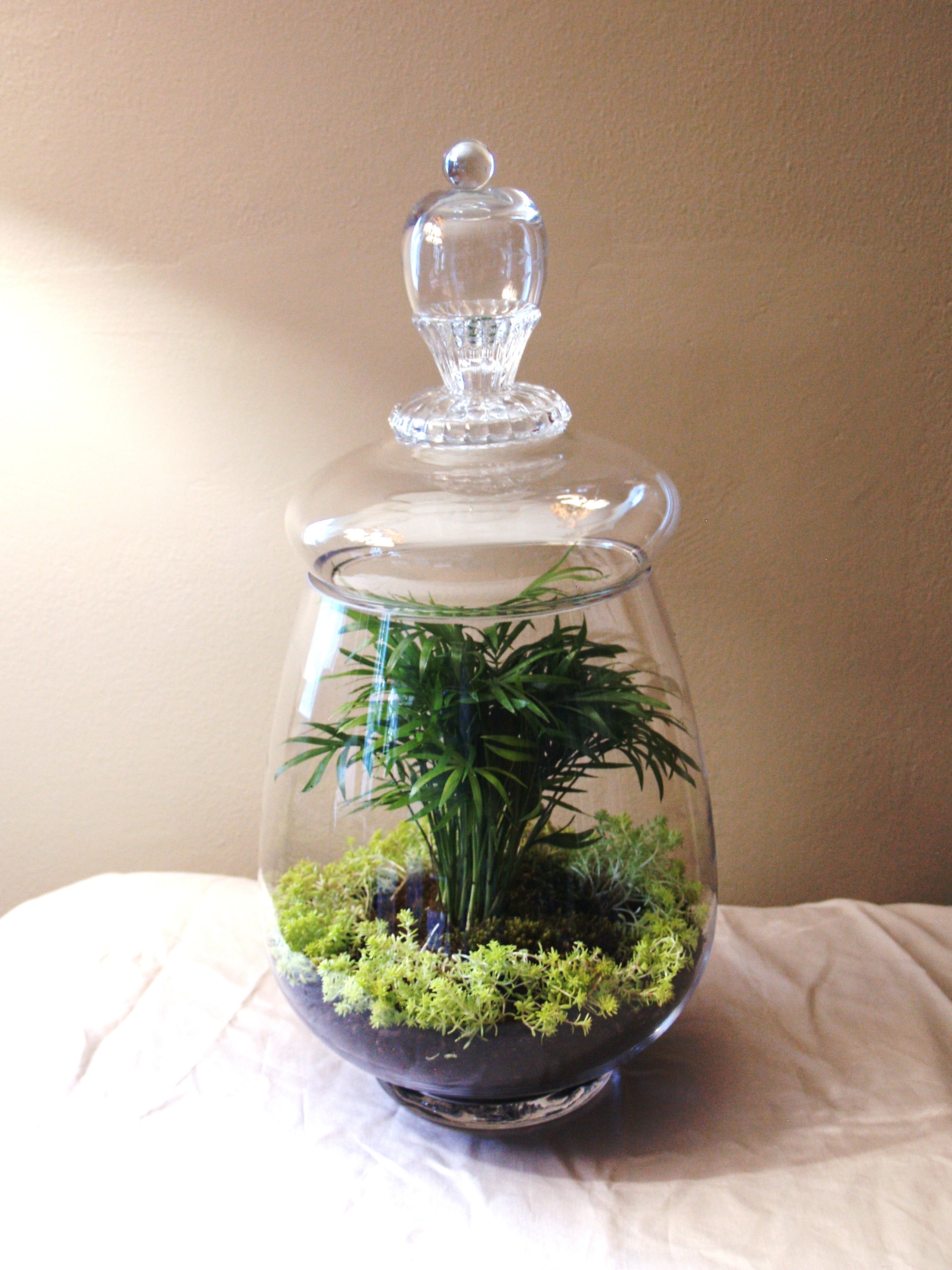 Containers & Terrariums gallery image