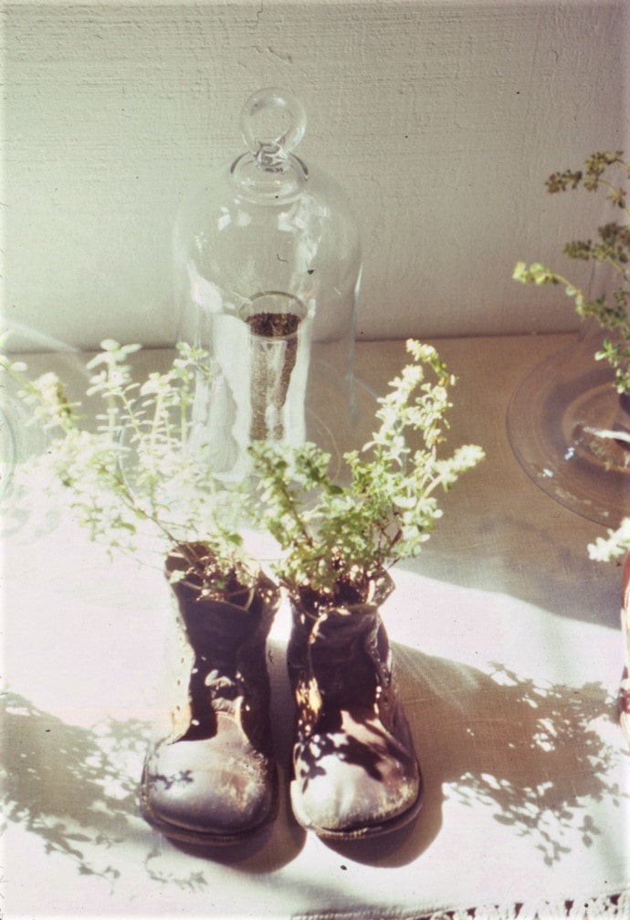 Containers & Terrariums gallery image