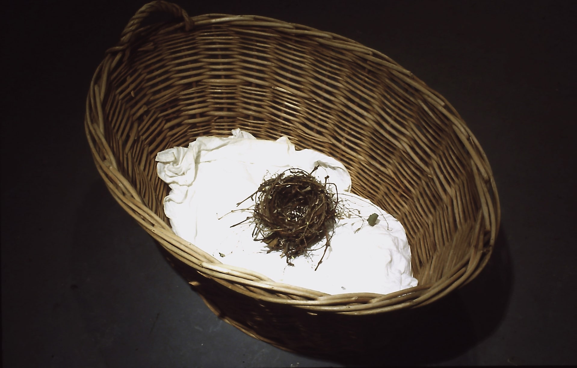 Fine Art gallery image