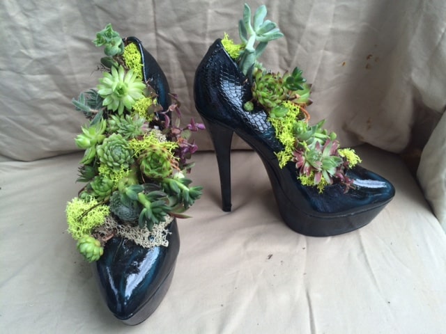 Containers & Terrariums gallery image